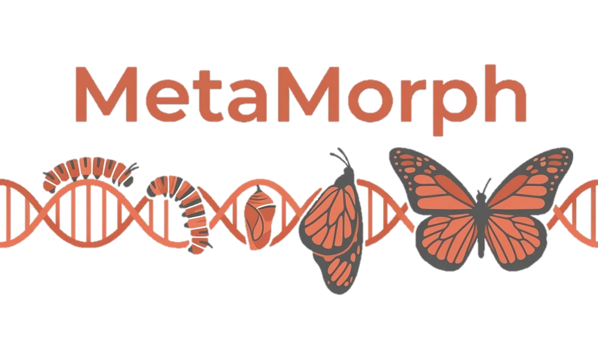 Metamorph ASO logo